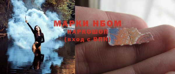 сатива Абинск