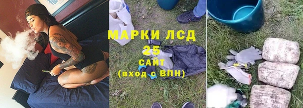 сатива Абинск