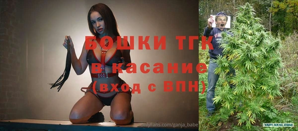 сатива Абинск
