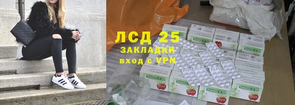 сатива Абинск