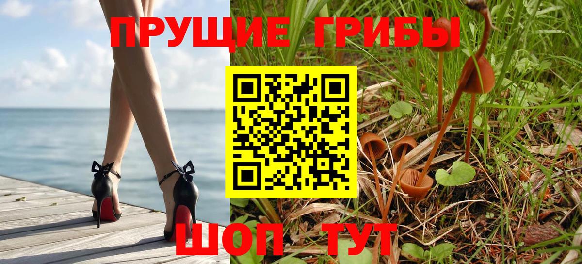 Псилоцибиновые грибы Psilocybe  Вход с VPN  Норильск 