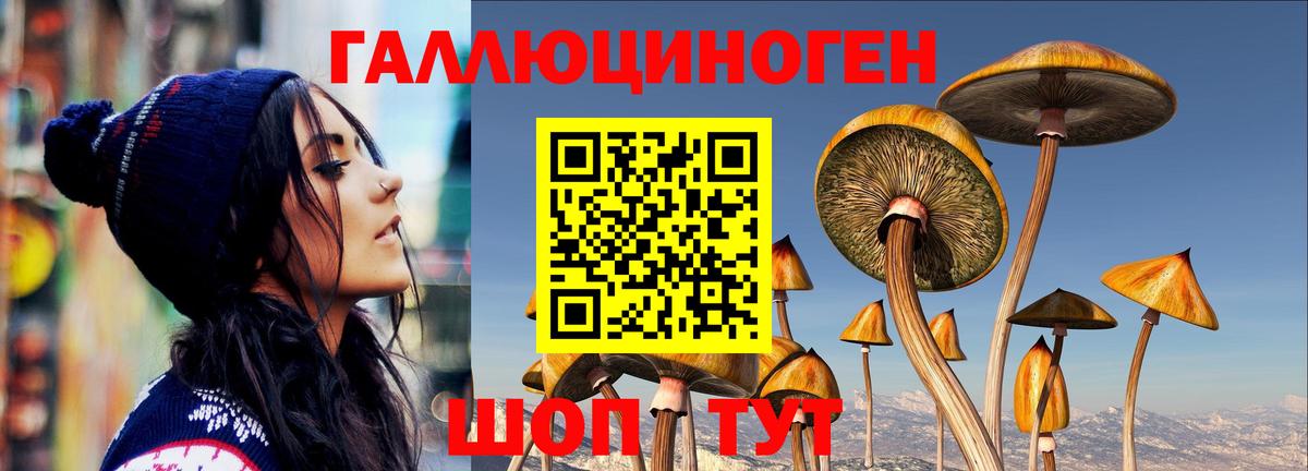 Псилоцибиновые грибы Cubensis Норильск